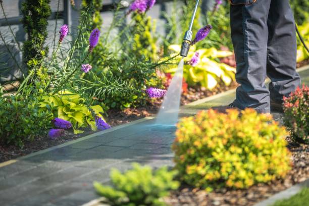 Best Post-Construction Pressure Washing  in Berkshire Lakes, FL